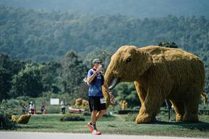 BIB: 
                            <button type="button" onclick="openModal(25965058)" class="btn btn-primary btn-sm float-right btn-popup" data-toggle="modal" data-target=".modal-high-quality">
                        <i class="fas fa-shopping-cart"></i> Add to Cart
                    </button>
                                            <button type="button" onclick="isThisMe(25965058, true)" class="btn btn-success btn-sm float-right btn-popup btn-isme hidden" data-toggle="tooltip" data-placement="bottom" title="นี่คือรูปของคุณใช่ไหม คลิกที่นี่เพื่อเอาเข้าอัลบั้ม">
                        <i class="fas fa-plus"></i> Add to album
                    </button>
                    <button type="button" onclick="isThisMe(25965058, false)" class="btn btn-warning btn-sm float-right btn-popup btn-isnotme hidden">
                        <i class="fas fa-ban"></i> Remove from album
                    </button>