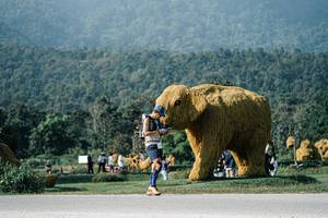 BIB: 
                            <button type="button" onclick="openModal(25875047)" class="btn btn-primary btn-sm float-right btn-popup" data-toggle="modal" data-target=".modal-high-quality">
                        <i class="fas fa-shopping-cart"></i> Add to Cart
                    </button>
                                            <button type="button" onclick="isThisMe(25875047, true)" class="btn btn-success btn-sm float-right btn-popup btn-isme hidden" data-toggle="tooltip" data-placement="bottom" title="นี่คือรูปของคุณใช่ไหม คลิกที่นี่เพื่อเอาเข้าอัลบั้ม">
                        <i class="fas fa-plus"></i> Add to album
                    </button>
                    <button type="button" onclick="isThisMe(25875047, false)" class="btn btn-warning btn-sm float-right btn-popup btn-isnotme hidden">
                        <i class="fas fa-ban"></i> Remove from album
                    </button>