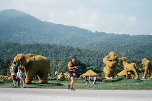 BIB: 
                            <button type="button" onclick="openModal(25884146)" class="btn btn-primary btn-sm float-right btn-popup" data-toggle="modal" data-target=".modal-high-quality">
                        <i class="fas fa-shopping-cart"></i> Add to Cart
                    </button>
                                            <button type="button" onclick="isThisMe(25884146, true)" class="btn btn-success btn-sm float-right btn-popup btn-isme hidden" data-toggle="tooltip" data-placement="bottom" title="นี่คือรูปของคุณใช่ไหม คลิกที่นี่เพื่อเอาเข้าอัลบั้ม">
                        <i class="fas fa-plus"></i> Add to album
                    </button>
                    <button type="button" onclick="isThisMe(25884146, false)" class="btn btn-warning btn-sm float-right btn-popup btn-isnotme hidden">
                        <i class="fas fa-ban"></i> Remove from album
                    </button>