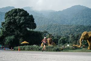 BIB: 
                            <button type="button" onclick="openModal(25871451)" class="btn btn-primary btn-sm float-right btn-popup" data-toggle="modal" data-target=".modal-high-quality">
                        <i class="fas fa-shopping-cart"></i> Add to Cart
                    </button>
                                            <button type="button" onclick="isThisMe(25871451, true)" class="btn btn-success btn-sm float-right btn-popup btn-isme hidden" data-toggle="tooltip" data-placement="bottom" title="นี่คือรูปของคุณใช่ไหม คลิกที่นี่เพื่อเอาเข้าอัลบั้ม">
                        <i class="fas fa-plus"></i> Add to album
                    </button>
                    <button type="button" onclick="isThisMe(25871451, false)" class="btn btn-warning btn-sm float-right btn-popup btn-isnotme hidden">
                        <i class="fas fa-ban"></i> Remove from album
                    </button>