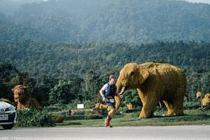 BIB: 
                            <button type="button" onclick="openModal(25871239)" class="btn btn-primary btn-sm float-right btn-popup" data-toggle="modal" data-target=".modal-high-quality">
                        <i class="fas fa-shopping-cart"></i> Add to Cart
                    </button>
                                            <button type="button" onclick="isThisMe(25871239, true)" class="btn btn-success btn-sm float-right btn-popup btn-isme hidden" data-toggle="tooltip" data-placement="bottom" title="นี่คือรูปของคุณใช่ไหม คลิกที่นี่เพื่อเอาเข้าอัลบั้ม">
                        <i class="fas fa-plus"></i> Add to album
                    </button>
                    <button type="button" onclick="isThisMe(25871239, false)" class="btn btn-warning btn-sm float-right btn-popup btn-isnotme hidden">
                        <i class="fas fa-ban"></i> Remove from album
                    </button>