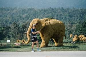 BIB: 
                            <button type="button" onclick="openModal(25900716)" class="btn btn-primary btn-sm float-right btn-popup" data-toggle="modal" data-target=".modal-high-quality">
                        <i class="fas fa-shopping-cart"></i> Add to Cart
                    </button>
                                            <button type="button" onclick="isThisMe(25900716, true)" class="btn btn-success btn-sm float-right btn-popup btn-isme hidden" data-toggle="tooltip" data-placement="bottom" title="นี่คือรูปของคุณใช่ไหม คลิกที่นี่เพื่อเอาเข้าอัลบั้ม">
                        <i class="fas fa-plus"></i> Add to album
                    </button>
                    <button type="button" onclick="isThisMe(25900716, false)" class="btn btn-warning btn-sm float-right btn-popup btn-isnotme hidden">
                        <i class="fas fa-ban"></i> Remove from album
                    </button>