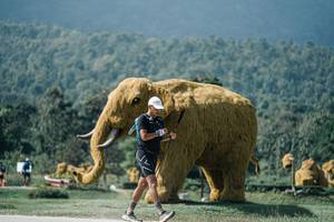 BIB: 
                            <button type="button" onclick="openModal(25934370)" class="btn btn-primary btn-sm float-right btn-popup" data-toggle="modal" data-target=".modal-high-quality">
                        <i class="fas fa-shopping-cart"></i> Add to Cart
                    </button>
                                            <button type="button" onclick="isThisMe(25934370, true)" class="btn btn-success btn-sm float-right btn-popup btn-isme hidden" data-toggle="tooltip" data-placement="bottom" title="นี่คือรูปของคุณใช่ไหม คลิกที่นี่เพื่อเอาเข้าอัลบั้ม">
                        <i class="fas fa-plus"></i> Add to album
                    </button>
                    <button type="button" onclick="isThisMe(25934370, false)" class="btn btn-warning btn-sm float-right btn-popup btn-isnotme hidden">
                        <i class="fas fa-ban"></i> Remove from album
                    </button>