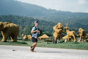 BIB: 
                            <button type="button" onclick="openModal(25894770)" class="btn btn-primary btn-sm float-right btn-popup" data-toggle="modal" data-target=".modal-high-quality">
                        <i class="fas fa-shopping-cart"></i> Add to Cart
                    </button>
                                            <button type="button" onclick="isThisMe(25894770, true)" class="btn btn-success btn-sm float-right btn-popup btn-isme hidden" data-toggle="tooltip" data-placement="bottom" title="นี่คือรูปของคุณใช่ไหม คลิกที่นี่เพื่อเอาเข้าอัลบั้ม">
                        <i class="fas fa-plus"></i> Add to album
                    </button>
                    <button type="button" onclick="isThisMe(25894770, false)" class="btn btn-warning btn-sm float-right btn-popup btn-isnotme hidden">
                        <i class="fas fa-ban"></i> Remove from album
                    </button>