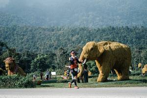 BIB: 
                            <button type="button" onclick="openModal(25882717)" class="btn btn-primary btn-sm float-right btn-popup" data-toggle="modal" data-target=".modal-high-quality">
                        <i class="fas fa-shopping-cart"></i> Add to Cart
                    </button>
                                            <button type="button" onclick="isThisMe(25882717, true)" class="btn btn-success btn-sm float-right btn-popup btn-isme hidden" data-toggle="tooltip" data-placement="bottom" title="นี่คือรูปของคุณใช่ไหม คลิกที่นี่เพื่อเอาเข้าอัลบั้ม">
                        <i class="fas fa-plus"></i> Add to album
                    </button>
                    <button type="button" onclick="isThisMe(25882717, false)" class="btn btn-warning btn-sm float-right btn-popup btn-isnotme hidden">
                        <i class="fas fa-ban"></i> Remove from album
                    </button>