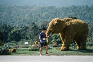 BIB: 
                            <button type="button" onclick="openModal(25969432)" class="btn btn-primary btn-sm float-right btn-popup" data-toggle="modal" data-target=".modal-high-quality">
                        <i class="fas fa-shopping-cart"></i> Add to Cart
                    </button>
                                            <button type="button" onclick="isThisMe(25969432, true)" class="btn btn-success btn-sm float-right btn-popup btn-isme hidden" data-toggle="tooltip" data-placement="bottom" title="นี่คือรูปของคุณใช่ไหม คลิกที่นี่เพื่อเอาเข้าอัลบั้ม">
                        <i class="fas fa-plus"></i> Add to album
                    </button>
                    <button type="button" onclick="isThisMe(25969432, false)" class="btn btn-warning btn-sm float-right btn-popup btn-isnotme hidden">
                        <i class="fas fa-ban"></i> Remove from album
                    </button>