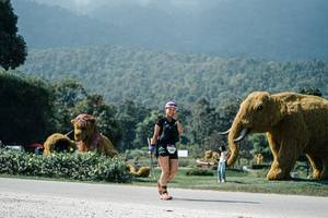 BIB: 
                            <button type="button" onclick="openModal(25952229)" class="btn btn-primary btn-sm float-right btn-popup" data-toggle="modal" data-target=".modal-high-quality">
                        <i class="fas fa-shopping-cart"></i> Add to Cart
                    </button>
                                            <button type="button" onclick="isThisMe(25952229, true)" class="btn btn-success btn-sm float-right btn-popup btn-isme hidden" data-toggle="tooltip" data-placement="bottom" title="นี่คือรูปของคุณใช่ไหม คลิกที่นี่เพื่อเอาเข้าอัลบั้ม">
                        <i class="fas fa-plus"></i> Add to album
                    </button>
                    <button type="button" onclick="isThisMe(25952229, false)" class="btn btn-warning btn-sm float-right btn-popup btn-isnotme hidden">
                        <i class="fas fa-ban"></i> Remove from album
                    </button>