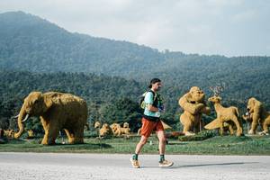 BIB: 
                            <button type="button" onclick="openModal(25872931)" class="btn btn-primary btn-sm float-right btn-popup" data-toggle="modal" data-target=".modal-high-quality">
                        <i class="fas fa-shopping-cart"></i> Add to Cart
                    </button>
                                            <button type="button" onclick="isThisMe(25872931, true)" class="btn btn-success btn-sm float-right btn-popup btn-isme hidden" data-toggle="tooltip" data-placement="bottom" title="นี่คือรูปของคุณใช่ไหม คลิกที่นี่เพื่อเอาเข้าอัลบั้ม">
                        <i class="fas fa-plus"></i> Add to album
                    </button>
                    <button type="button" onclick="isThisMe(25872931, false)" class="btn btn-warning btn-sm float-right btn-popup btn-isnotme hidden">
                        <i class="fas fa-ban"></i> Remove from album
                    </button>