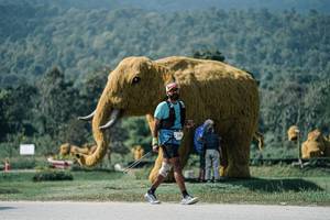 BIB: 
                            <button type="button" onclick="openModal(25939528)" class="btn btn-primary btn-sm float-right btn-popup" data-toggle="modal" data-target=".modal-high-quality">
                        <i class="fas fa-shopping-cart"></i> Add to Cart
                    </button>
                                            <button type="button" onclick="isThisMe(25939528, true)" class="btn btn-success btn-sm float-right btn-popup btn-isme hidden" data-toggle="tooltip" data-placement="bottom" title="นี่คือรูปของคุณใช่ไหม คลิกที่นี่เพื่อเอาเข้าอัลบั้ม">
                        <i class="fas fa-plus"></i> Add to album
                    </button>
                    <button type="button" onclick="isThisMe(25939528, false)" class="btn btn-warning btn-sm float-right btn-popup btn-isnotme hidden">
                        <i class="fas fa-ban"></i> Remove from album
                    </button>