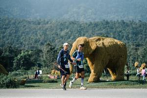 BIB: 
                            <button type="button" onclick="openModal(25883624)" class="btn btn-primary btn-sm float-right btn-popup" data-toggle="modal" data-target=".modal-high-quality">
                        <i class="fas fa-shopping-cart"></i> Add to Cart
                    </button>
                                            <button type="button" onclick="isThisMe(25883624, true)" class="btn btn-success btn-sm float-right btn-popup btn-isme hidden" data-toggle="tooltip" data-placement="bottom" title="นี่คือรูปของคุณใช่ไหม คลิกที่นี่เพื่อเอาเข้าอัลบั้ม">
                        <i class="fas fa-plus"></i> Add to album
                    </button>
                    <button type="button" onclick="isThisMe(25883624, false)" class="btn btn-warning btn-sm float-right btn-popup btn-isnotme hidden">
                        <i class="fas fa-ban"></i> Remove from album
                    </button>