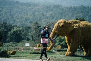 BIB: 
                            <button type="button" onclick="openModal(25977871)" class="btn btn-primary btn-sm float-right btn-popup" data-toggle="modal" data-target=".modal-high-quality">
                        <i class="fas fa-shopping-cart"></i> Add to Cart
                    </button>
                                            <button type="button" onclick="isThisMe(25977871, true)" class="btn btn-success btn-sm float-right btn-popup btn-isme hidden" data-toggle="tooltip" data-placement="bottom" title="นี่คือรูปของคุณใช่ไหม คลิกที่นี่เพื่อเอาเข้าอัลบั้ม">
                        <i class="fas fa-plus"></i> Add to album
                    </button>
                    <button type="button" onclick="isThisMe(25977871, false)" class="btn btn-warning btn-sm float-right btn-popup btn-isnotme hidden">
                        <i class="fas fa-ban"></i> Remove from album
                    </button>