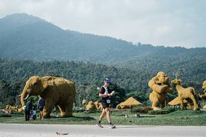 BIB: 
                            <button type="button" onclick="openModal(25891438)" class="btn btn-primary btn-sm float-right btn-popup" data-toggle="modal" data-target=".modal-high-quality">
                        <i class="fas fa-shopping-cart"></i> Add to Cart
                    </button>
                                            <button type="button" onclick="isThisMe(25891438, true)" class="btn btn-success btn-sm float-right btn-popup btn-isme hidden" data-toggle="tooltip" data-placement="bottom" title="นี่คือรูปของคุณใช่ไหม คลิกที่นี่เพื่อเอาเข้าอัลบั้ม">
                        <i class="fas fa-plus"></i> Add to album
                    </button>
                    <button type="button" onclick="isThisMe(25891438, false)" class="btn btn-warning btn-sm float-right btn-popup btn-isnotme hidden">
                        <i class="fas fa-ban"></i> Remove from album
                    </button>