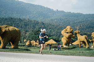 BIB: 
                            <button type="button" onclick="openModal(25879416)" class="btn btn-primary btn-sm float-right btn-popup" data-toggle="modal" data-target=".modal-high-quality">
                        <i class="fas fa-shopping-cart"></i> Add to Cart
                    </button>
                                            <button type="button" onclick="isThisMe(25879416, true)" class="btn btn-success btn-sm float-right btn-popup btn-isme hidden" data-toggle="tooltip" data-placement="bottom" title="นี่คือรูปของคุณใช่ไหม คลิกที่นี่เพื่อเอาเข้าอัลบั้ม">
                        <i class="fas fa-plus"></i> Add to album
                    </button>
                    <button type="button" onclick="isThisMe(25879416, false)" class="btn btn-warning btn-sm float-right btn-popup btn-isnotme hidden">
                        <i class="fas fa-ban"></i> Remove from album
                    </button>