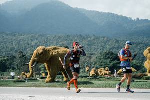 BIB: 
                            <button type="button" onclick="openModal(25951258)" class="btn btn-primary btn-sm float-right btn-popup" data-toggle="modal" data-target=".modal-high-quality">
                        <i class="fas fa-shopping-cart"></i> Add to Cart
                    </button>
                                            <button type="button" onclick="isThisMe(25951258, true)" class="btn btn-success btn-sm float-right btn-popup btn-isme hidden" data-toggle="tooltip" data-placement="bottom" title="นี่คือรูปของคุณใช่ไหม คลิกที่นี่เพื่อเอาเข้าอัลบั้ม">
                        <i class="fas fa-plus"></i> Add to album
                    </button>
                    <button type="button" onclick="isThisMe(25951258, false)" class="btn btn-warning btn-sm float-right btn-popup btn-isnotme hidden">
                        <i class="fas fa-ban"></i> Remove from album
                    </button>