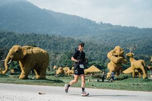 BIB: 
                            <button type="button" onclick="openModal(25895193)" class="btn btn-primary btn-sm float-right btn-popup" data-toggle="modal" data-target=".modal-high-quality">
                        <i class="fas fa-shopping-cart"></i> Add to Cart
                    </button>
                                            <button type="button" onclick="isThisMe(25895193, true)" class="btn btn-success btn-sm float-right btn-popup btn-isme hidden" data-toggle="tooltip" data-placement="bottom" title="นี่คือรูปของคุณใช่ไหม คลิกที่นี่เพื่อเอาเข้าอัลบั้ม">
                        <i class="fas fa-plus"></i> Add to album
                    </button>
                    <button type="button" onclick="isThisMe(25895193, false)" class="btn btn-warning btn-sm float-right btn-popup btn-isnotme hidden">
                        <i class="fas fa-ban"></i> Remove from album
                    </button>