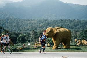 BIB: 
                            <button type="button" onclick="openModal(25893814)" class="btn btn-primary btn-sm float-right btn-popup" data-toggle="modal" data-target=".modal-high-quality">
                        <i class="fas fa-shopping-cart"></i> Add to Cart
                    </button>
                                            <button type="button" onclick="isThisMe(25893814, true)" class="btn btn-success btn-sm float-right btn-popup btn-isme hidden" data-toggle="tooltip" data-placement="bottom" title="นี่คือรูปของคุณใช่ไหม คลิกที่นี่เพื่อเอาเข้าอัลบั้ม">
                        <i class="fas fa-plus"></i> Add to album
                    </button>
                    <button type="button" onclick="isThisMe(25893814, false)" class="btn btn-warning btn-sm float-right btn-popup btn-isnotme hidden">
                        <i class="fas fa-ban"></i> Remove from album
                    </button>