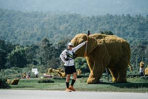 BIB: 
                            <button type="button" onclick="openModal(25978656)" class="btn btn-primary btn-sm float-right btn-popup" data-toggle="modal" data-target=".modal-high-quality">
                        <i class="fas fa-shopping-cart"></i> Add to Cart
                    </button>
                                            <button type="button" onclick="isThisMe(25978656, true)" class="btn btn-success btn-sm float-right btn-popup btn-isme hidden" data-toggle="tooltip" data-placement="bottom" title="นี่คือรูปของคุณใช่ไหม คลิกที่นี่เพื่อเอาเข้าอัลบั้ม">
                        <i class="fas fa-plus"></i> Add to album
                    </button>
                    <button type="button" onclick="isThisMe(25978656, false)" class="btn btn-warning btn-sm float-right btn-popup btn-isnotme hidden">
                        <i class="fas fa-ban"></i> Remove from album
                    </button>