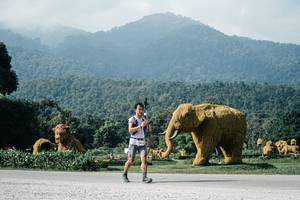 BIB: 
                            <button type="button" onclick="openModal(25886361)" class="btn btn-primary btn-sm float-right btn-popup" data-toggle="modal" data-target=".modal-high-quality">
                        <i class="fas fa-shopping-cart"></i> Add to Cart
                    </button>
                                            <button type="button" onclick="isThisMe(25886361, true)" class="btn btn-success btn-sm float-right btn-popup btn-isme hidden" data-toggle="tooltip" data-placement="bottom" title="นี่คือรูปของคุณใช่ไหม คลิกที่นี่เพื่อเอาเข้าอัลบั้ม">
                        <i class="fas fa-plus"></i> Add to album
                    </button>
                    <button type="button" onclick="isThisMe(25886361, false)" class="btn btn-warning btn-sm float-right btn-popup btn-isnotme hidden">
                        <i class="fas fa-ban"></i> Remove from album
                    </button>