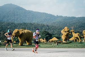 BIB: 
                            <button type="button" onclick="openModal(25871953)" class="btn btn-primary btn-sm float-right btn-popup" data-toggle="modal" data-target=".modal-high-quality">
                        <i class="fas fa-shopping-cart"></i> Add to Cart
                    </button>
                                            <button type="button" onclick="isThisMe(25871953, true)" class="btn btn-success btn-sm float-right btn-popup btn-isme hidden" data-toggle="tooltip" data-placement="bottom" title="นี่คือรูปของคุณใช่ไหม คลิกที่นี่เพื่อเอาเข้าอัลบั้ม">
                        <i class="fas fa-plus"></i> Add to album
                    </button>
                    <button type="button" onclick="isThisMe(25871953, false)" class="btn btn-warning btn-sm float-right btn-popup btn-isnotme hidden">
                        <i class="fas fa-ban"></i> Remove from album
                    </button>