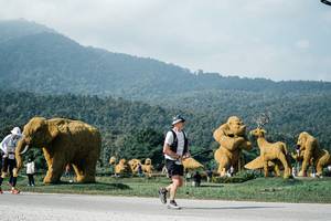 BIB: 
                            <button type="button" onclick="openModal(25876011)" class="btn btn-primary btn-sm float-right btn-popup" data-toggle="modal" data-target=".modal-high-quality">
                        <i class="fas fa-shopping-cart"></i> Add to Cart
                    </button>
                                            <button type="button" onclick="isThisMe(25876011, true)" class="btn btn-success btn-sm float-right btn-popup btn-isme hidden" data-toggle="tooltip" data-placement="bottom" title="นี่คือรูปของคุณใช่ไหม คลิกที่นี่เพื่อเอาเข้าอัลบั้ม">
                        <i class="fas fa-plus"></i> Add to album
                    </button>
                    <button type="button" onclick="isThisMe(25876011, false)" class="btn btn-warning btn-sm float-right btn-popup btn-isnotme hidden">
                        <i class="fas fa-ban"></i> Remove from album
                    </button>