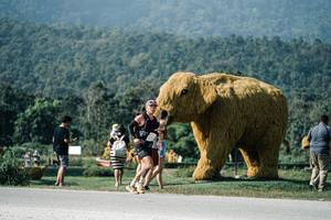 BIB: 
                            <button type="button" onclick="openModal(25884305)" class="btn btn-primary btn-sm float-right btn-popup" data-toggle="modal" data-target=".modal-high-quality">
                        <i class="fas fa-shopping-cart"></i> Add to Cart
                    </button>
                                            <button type="button" onclick="isThisMe(25884305, true)" class="btn btn-success btn-sm float-right btn-popup btn-isme hidden" data-toggle="tooltip" data-placement="bottom" title="นี่คือรูปของคุณใช่ไหม คลิกที่นี่เพื่อเอาเข้าอัลบั้ม">
                        <i class="fas fa-plus"></i> Add to album
                    </button>
                    <button type="button" onclick="isThisMe(25884305, false)" class="btn btn-warning btn-sm float-right btn-popup btn-isnotme hidden">
                        <i class="fas fa-ban"></i> Remove from album
                    </button>