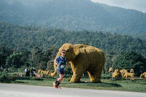 BIB: 
                            <button type="button" onclick="openModal(25877815)" class="btn btn-primary btn-sm float-right btn-popup" data-toggle="modal" data-target=".modal-high-quality">
                        <i class="fas fa-shopping-cart"></i> Add to Cart
                    </button>
                                            <button type="button" onclick="isThisMe(25877815, true)" class="btn btn-success btn-sm float-right btn-popup btn-isme hidden" data-toggle="tooltip" data-placement="bottom" title="นี่คือรูปของคุณใช่ไหม คลิกที่นี่เพื่อเอาเข้าอัลบั้ม">
                        <i class="fas fa-plus"></i> Add to album
                    </button>
                    <button type="button" onclick="isThisMe(25877815, false)" class="btn btn-warning btn-sm float-right btn-popup btn-isnotme hidden">
                        <i class="fas fa-ban"></i> Remove from album
                    </button>