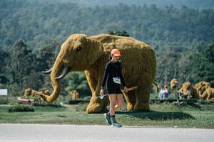 BIB: 
                            <button type="button" onclick="openModal(25967010)" class="btn btn-primary btn-sm float-right btn-popup" data-toggle="modal" data-target=".modal-high-quality">
                        <i class="fas fa-shopping-cart"></i> Add to Cart
                    </button>
                                            <button type="button" onclick="isThisMe(25967010, true)" class="btn btn-success btn-sm float-right btn-popup btn-isme hidden" data-toggle="tooltip" data-placement="bottom" title="นี่คือรูปของคุณใช่ไหม คลิกที่นี่เพื่อเอาเข้าอัลบั้ม">
                        <i class="fas fa-plus"></i> Add to album
                    </button>
                    <button type="button" onclick="isThisMe(25967010, false)" class="btn btn-warning btn-sm float-right btn-popup btn-isnotme hidden">
                        <i class="fas fa-ban"></i> Remove from album
                    </button>