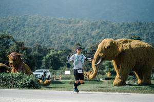 BIB: 
                            <button type="button" onclick="openModal(25922626)" class="btn btn-primary btn-sm float-right btn-popup" data-toggle="modal" data-target=".modal-high-quality">
                        <i class="fas fa-shopping-cart"></i> Add to Cart
                    </button>
                                            <button type="button" onclick="isThisMe(25922626, true)" class="btn btn-success btn-sm float-right btn-popup btn-isme hidden" data-toggle="tooltip" data-placement="bottom" title="นี่คือรูปของคุณใช่ไหม คลิกที่นี่เพื่อเอาเข้าอัลบั้ม">
                        <i class="fas fa-plus"></i> Add to album
                    </button>
                    <button type="button" onclick="isThisMe(25922626, false)" class="btn btn-warning btn-sm float-right btn-popup btn-isnotme hidden">
                        <i class="fas fa-ban"></i> Remove from album
                    </button>