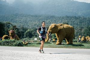 BIB: 
                            <button type="button" onclick="openModal(25929042)" class="btn btn-primary btn-sm float-right btn-popup" data-toggle="modal" data-target=".modal-high-quality">
                        <i class="fas fa-shopping-cart"></i> Add to Cart
                    </button>
                                            <button type="button" onclick="isThisMe(25929042, true)" class="btn btn-success btn-sm float-right btn-popup btn-isme hidden" data-toggle="tooltip" data-placement="bottom" title="นี่คือรูปของคุณใช่ไหม คลิกที่นี่เพื่อเอาเข้าอัลบั้ม">
                        <i class="fas fa-plus"></i> Add to album
                    </button>
                    <button type="button" onclick="isThisMe(25929042, false)" class="btn btn-warning btn-sm float-right btn-popup btn-isnotme hidden">
                        <i class="fas fa-ban"></i> Remove from album
                    </button>