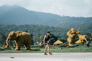 BIB: 
                            <button type="button" onclick="openModal(25904741)" class="btn btn-primary btn-sm float-right btn-popup" data-toggle="modal" data-target=".modal-high-quality">
                        <i class="fas fa-shopping-cart"></i> Add to Cart
                    </button>
                                            <button type="button" onclick="isThisMe(25904741, true)" class="btn btn-success btn-sm float-right btn-popup btn-isme hidden" data-toggle="tooltip" data-placement="bottom" title="นี่คือรูปของคุณใช่ไหม คลิกที่นี่เพื่อเอาเข้าอัลบั้ม">
                        <i class="fas fa-plus"></i> Add to album
                    </button>
                    <button type="button" onclick="isThisMe(25904741, false)" class="btn btn-warning btn-sm float-right btn-popup btn-isnotme hidden">
                        <i class="fas fa-ban"></i> Remove from album
                    </button>