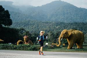 BIB: 
                            <button type="button" onclick="openModal(25871114)" class="btn btn-primary btn-sm float-right btn-popup" data-toggle="modal" data-target=".modal-high-quality">
                        <i class="fas fa-shopping-cart"></i> Add to Cart
                    </button>
                                            <button type="button" onclick="isThisMe(25871114, true)" class="btn btn-success btn-sm float-right btn-popup btn-isme hidden" data-toggle="tooltip" data-placement="bottom" title="นี่คือรูปของคุณใช่ไหม คลิกที่นี่เพื่อเอาเข้าอัลบั้ม">
                        <i class="fas fa-plus"></i> Add to album
                    </button>
                    <button type="button" onclick="isThisMe(25871114, false)" class="btn btn-warning btn-sm float-right btn-popup btn-isnotme hidden">
                        <i class="fas fa-ban"></i> Remove from album
                    </button>