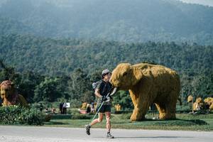 BIB: 
                            <button type="button" onclick="openModal(25877311)" class="btn btn-primary btn-sm float-right btn-popup" data-toggle="modal" data-target=".modal-high-quality">
                        <i class="fas fa-shopping-cart"></i> Add to Cart
                    </button>
                                            <button type="button" onclick="isThisMe(25877311, true)" class="btn btn-success btn-sm float-right btn-popup btn-isme hidden" data-toggle="tooltip" data-placement="bottom" title="นี่คือรูปของคุณใช่ไหม คลิกที่นี่เพื่อเอาเข้าอัลบั้ม">
                        <i class="fas fa-plus"></i> Add to album
                    </button>
                    <button type="button" onclick="isThisMe(25877311, false)" class="btn btn-warning btn-sm float-right btn-popup btn-isnotme hidden">
                        <i class="fas fa-ban"></i> Remove from album
                    </button>