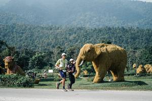 BIB: 
                            <button type="button" onclick="openModal(25885086)" class="btn btn-primary btn-sm float-right btn-popup" data-toggle="modal" data-target=".modal-high-quality">
                        <i class="fas fa-shopping-cart"></i> Add to Cart
                    </button>
                                            <button type="button" onclick="isThisMe(25885086, true)" class="btn btn-success btn-sm float-right btn-popup btn-isme hidden" data-toggle="tooltip" data-placement="bottom" title="นี่คือรูปของคุณใช่ไหม คลิกที่นี่เพื่อเอาเข้าอัลบั้ม">
                        <i class="fas fa-plus"></i> Add to album
                    </button>
                    <button type="button" onclick="isThisMe(25885086, false)" class="btn btn-warning btn-sm float-right btn-popup btn-isnotme hidden">
                        <i class="fas fa-ban"></i> Remove from album
                    </button>