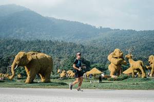 BIB: 
                            <button type="button" onclick="openModal(25877111)" class="btn btn-primary btn-sm float-right btn-popup" data-toggle="modal" data-target=".modal-high-quality">
                        <i class="fas fa-shopping-cart"></i> Add to Cart
                    </button>
                                            <button type="button" onclick="isThisMe(25877111, true)" class="btn btn-success btn-sm float-right btn-popup btn-isme hidden" data-toggle="tooltip" data-placement="bottom" title="นี่คือรูปของคุณใช่ไหม คลิกที่นี่เพื่อเอาเข้าอัลบั้ม">
                        <i class="fas fa-plus"></i> Add to album
                    </button>
                    <button type="button" onclick="isThisMe(25877111, false)" class="btn btn-warning btn-sm float-right btn-popup btn-isnotme hidden">
                        <i class="fas fa-ban"></i> Remove from album
                    </button>