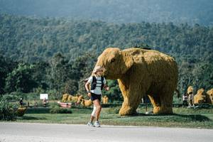 BIB: 
                            <button type="button" onclick="openModal(25888166)" class="btn btn-primary btn-sm float-right btn-popup" data-toggle="modal" data-target=".modal-high-quality">
                        <i class="fas fa-shopping-cart"></i> Add to Cart
                    </button>
                                            <button type="button" onclick="isThisMe(25888166, true)" class="btn btn-success btn-sm float-right btn-popup btn-isme hidden" data-toggle="tooltip" data-placement="bottom" title="นี่คือรูปของคุณใช่ไหม คลิกที่นี่เพื่อเอาเข้าอัลบั้ม">
                        <i class="fas fa-plus"></i> Add to album
                    </button>
                    <button type="button" onclick="isThisMe(25888166, false)" class="btn btn-warning btn-sm float-right btn-popup btn-isnotme hidden">
                        <i class="fas fa-ban"></i> Remove from album
                    </button>