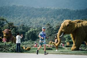 BIB: 
                            <button type="button" onclick="openModal(25946471)" class="btn btn-primary btn-sm float-right btn-popup" data-toggle="modal" data-target=".modal-high-quality">
                        <i class="fas fa-shopping-cart"></i> Add to Cart
                    </button>
                                            <button type="button" onclick="isThisMe(25946471, true)" class="btn btn-success btn-sm float-right btn-popup btn-isme hidden" data-toggle="tooltip" data-placement="bottom" title="นี่คือรูปของคุณใช่ไหม คลิกที่นี่เพื่อเอาเข้าอัลบั้ม">
                        <i class="fas fa-plus"></i> Add to album
                    </button>
                    <button type="button" onclick="isThisMe(25946471, false)" class="btn btn-warning btn-sm float-right btn-popup btn-isnotme hidden">
                        <i class="fas fa-ban"></i> Remove from album
                    </button>