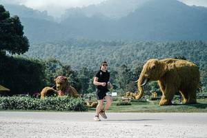 BIB: 
                            <button type="button" onclick="openModal(25948879)" class="btn btn-primary btn-sm float-right btn-popup" data-toggle="modal" data-target=".modal-high-quality">
                        <i class="fas fa-shopping-cart"></i> Add to Cart
                    </button>
                                            <button type="button" onclick="isThisMe(25948879, true)" class="btn btn-success btn-sm float-right btn-popup btn-isme hidden" data-toggle="tooltip" data-placement="bottom" title="นี่คือรูปของคุณใช่ไหม คลิกที่นี่เพื่อเอาเข้าอัลบั้ม">
                        <i class="fas fa-plus"></i> Add to album
                    </button>
                    <button type="button" onclick="isThisMe(25948879, false)" class="btn btn-warning btn-sm float-right btn-popup btn-isnotme hidden">
                        <i class="fas fa-ban"></i> Remove from album
                    </button>