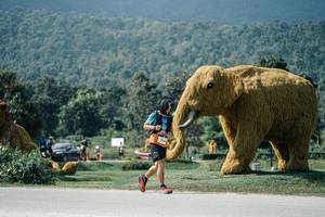 BIB: 
                            <button type="button" onclick="openModal(25935150)" class="btn btn-primary btn-sm float-right btn-popup" data-toggle="modal" data-target=".modal-high-quality">
                        <i class="fas fa-shopping-cart"></i> Add to Cart
                    </button>
                                            <button type="button" onclick="isThisMe(25935150, true)" class="btn btn-success btn-sm float-right btn-popup btn-isme hidden" data-toggle="tooltip" data-placement="bottom" title="นี่คือรูปของคุณใช่ไหม คลิกที่นี่เพื่อเอาเข้าอัลบั้ม">
                        <i class="fas fa-plus"></i> Add to album
                    </button>
                    <button type="button" onclick="isThisMe(25935150, false)" class="btn btn-warning btn-sm float-right btn-popup btn-isnotme hidden">
                        <i class="fas fa-ban"></i> Remove from album
                    </button>