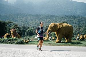 BIB: 
                            <button type="button" onclick="openModal(25928971)" class="btn btn-primary btn-sm float-right btn-popup" data-toggle="modal" data-target=".modal-high-quality">
                        <i class="fas fa-shopping-cart"></i> Add to Cart
                    </button>
                                            <button type="button" onclick="isThisMe(25928971, true)" class="btn btn-success btn-sm float-right btn-popup btn-isme hidden" data-toggle="tooltip" data-placement="bottom" title="นี่คือรูปของคุณใช่ไหม คลิกที่นี่เพื่อเอาเข้าอัลบั้ม">
                        <i class="fas fa-plus"></i> Add to album
                    </button>
                    <button type="button" onclick="isThisMe(25928971, false)" class="btn btn-warning btn-sm float-right btn-popup btn-isnotme hidden">
                        <i class="fas fa-ban"></i> Remove from album
                    </button>