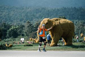 BIB: 
                            <button type="button" onclick="openModal(25941095)" class="btn btn-primary btn-sm float-right btn-popup" data-toggle="modal" data-target=".modal-high-quality">
                        <i class="fas fa-shopping-cart"></i> Add to Cart
                    </button>
                                            <button type="button" onclick="isThisMe(25941095, true)" class="btn btn-success btn-sm float-right btn-popup btn-isme hidden" data-toggle="tooltip" data-placement="bottom" title="นี่คือรูปของคุณใช่ไหม คลิกที่นี่เพื่อเอาเข้าอัลบั้ม">
                        <i class="fas fa-plus"></i> Add to album
                    </button>
                    <button type="button" onclick="isThisMe(25941095, false)" class="btn btn-warning btn-sm float-right btn-popup btn-isnotme hidden">
                        <i class="fas fa-ban"></i> Remove from album
                    </button>