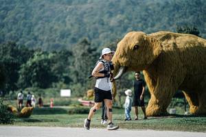 BIB: 
                            <button type="button" onclick="openModal(25910877)" class="btn btn-primary btn-sm float-right btn-popup" data-toggle="modal" data-target=".modal-high-quality">
                        <i class="fas fa-shopping-cart"></i> Add to Cart
                    </button>
                                            <button type="button" onclick="isThisMe(25910877, true)" class="btn btn-success btn-sm float-right btn-popup btn-isme hidden" data-toggle="tooltip" data-placement="bottom" title="นี่คือรูปของคุณใช่ไหม คลิกที่นี่เพื่อเอาเข้าอัลบั้ม">
                        <i class="fas fa-plus"></i> Add to album
                    </button>
                    <button type="button" onclick="isThisMe(25910877, false)" class="btn btn-warning btn-sm float-right btn-popup btn-isnotme hidden">
                        <i class="fas fa-ban"></i> Remove from album
                    </button>