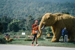 BIB: 
                            <button type="button" onclick="openModal(25939113)" class="btn btn-primary btn-sm float-right btn-popup" data-toggle="modal" data-target=".modal-high-quality">
                        <i class="fas fa-shopping-cart"></i> Add to Cart
                    </button>
                                            <button type="button" onclick="isThisMe(25939113, true)" class="btn btn-success btn-sm float-right btn-popup btn-isme hidden" data-toggle="tooltip" data-placement="bottom" title="นี่คือรูปของคุณใช่ไหม คลิกที่นี่เพื่อเอาเข้าอัลบั้ม">
                        <i class="fas fa-plus"></i> Add to album
                    </button>
                    <button type="button" onclick="isThisMe(25939113, false)" class="btn btn-warning btn-sm float-right btn-popup btn-isnotme hidden">
                        <i class="fas fa-ban"></i> Remove from album
                    </button>