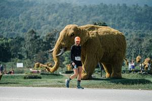 BIB: 
                            <button type="button" onclick="openModal(25967002)" class="btn btn-primary btn-sm float-right btn-popup" data-toggle="modal" data-target=".modal-high-quality">
                        <i class="fas fa-shopping-cart"></i> Add to Cart
                    </button>
                                            <button type="button" onclick="isThisMe(25967002, true)" class="btn btn-success btn-sm float-right btn-popup btn-isme hidden" data-toggle="tooltip" data-placement="bottom" title="นี่คือรูปของคุณใช่ไหม คลิกที่นี่เพื่อเอาเข้าอัลบั้ม">
                        <i class="fas fa-plus"></i> Add to album
                    </button>
                    <button type="button" onclick="isThisMe(25967002, false)" class="btn btn-warning btn-sm float-right btn-popup btn-isnotme hidden">
                        <i class="fas fa-ban"></i> Remove from album
                    </button>