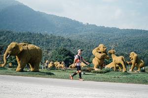 BIB: 
                            <button type="button" onclick="openModal(25888760)" class="btn btn-primary btn-sm float-right btn-popup" data-toggle="modal" data-target=".modal-high-quality">
                        <i class="fas fa-shopping-cart"></i> Add to Cart
                    </button>
                                            <button type="button" onclick="isThisMe(25888760, true)" class="btn btn-success btn-sm float-right btn-popup btn-isme hidden" data-toggle="tooltip" data-placement="bottom" title="นี่คือรูปของคุณใช่ไหม คลิกที่นี่เพื่อเอาเข้าอัลบั้ม">
                        <i class="fas fa-plus"></i> Add to album
                    </button>
                    <button type="button" onclick="isThisMe(25888760, false)" class="btn btn-warning btn-sm float-right btn-popup btn-isnotme hidden">
                        <i class="fas fa-ban"></i> Remove from album
                    </button>