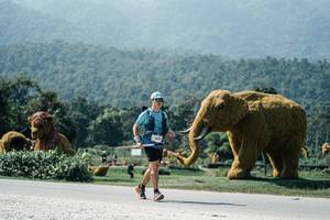 BIB: 
                            <button type="button" onclick="openModal(25998413)" class="btn btn-primary btn-sm float-right btn-popup" data-toggle="modal" data-target=".modal-high-quality">
                        <i class="fas fa-shopping-cart"></i> Add to Cart
                    </button>
                                            <button type="button" onclick="isThisMe(25998413, true)" class="btn btn-success btn-sm float-right btn-popup btn-isme hidden" data-toggle="tooltip" data-placement="bottom" title="นี่คือรูปของคุณใช่ไหม คลิกที่นี่เพื่อเอาเข้าอัลบั้ม">
                        <i class="fas fa-plus"></i> Add to album
                    </button>
                    <button type="button" onclick="isThisMe(25998413, false)" class="btn btn-warning btn-sm float-right btn-popup btn-isnotme hidden">
                        <i class="fas fa-ban"></i> Remove from album
                    </button>