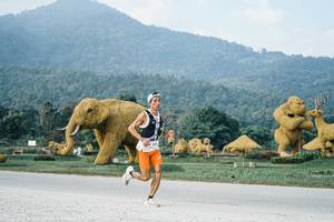 BIB: 
                            <button type="button" onclick="openModal(25870042)" class="btn btn-primary btn-sm float-right btn-popup" data-toggle="modal" data-target=".modal-high-quality">
                        <i class="fas fa-shopping-cart"></i> Add to Cart
                    </button>
                                            <button type="button" onclick="isThisMe(25870042, true)" class="btn btn-success btn-sm float-right btn-popup btn-isme hidden" data-toggle="tooltip" data-placement="bottom" title="นี่คือรูปของคุณใช่ไหม คลิกที่นี่เพื่อเอาเข้าอัลบั้ม">
                        <i class="fas fa-plus"></i> Add to album
                    </button>
                    <button type="button" onclick="isThisMe(25870042, false)" class="btn btn-warning btn-sm float-right btn-popup btn-isnotme hidden">
                        <i class="fas fa-ban"></i> Remove from album
                    </button>