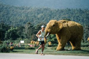 BIB: 
                            <button type="button" onclick="openModal(25898941)" class="btn btn-primary btn-sm float-right btn-popup" data-toggle="modal" data-target=".modal-high-quality">
                        <i class="fas fa-shopping-cart"></i> Add to Cart
                    </button>
                                            <button type="button" onclick="isThisMe(25898941, true)" class="btn btn-success btn-sm float-right btn-popup btn-isme hidden" data-toggle="tooltip" data-placement="bottom" title="นี่คือรูปของคุณใช่ไหม คลิกที่นี่เพื่อเอาเข้าอัลบั้ม">
                        <i class="fas fa-plus"></i> Add to album
                    </button>
                    <button type="button" onclick="isThisMe(25898941, false)" class="btn btn-warning btn-sm float-right btn-popup btn-isnotme hidden">
                        <i class="fas fa-ban"></i> Remove from album
                    </button>