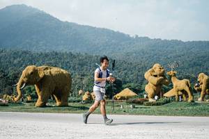 BIB: 
                            <button type="button" onclick="openModal(25886418)" class="btn btn-primary btn-sm float-right btn-popup" data-toggle="modal" data-target=".modal-high-quality">
                        <i class="fas fa-shopping-cart"></i> Add to Cart
                    </button>
                                            <button type="button" onclick="isThisMe(25886418, true)" class="btn btn-success btn-sm float-right btn-popup btn-isme hidden" data-toggle="tooltip" data-placement="bottom" title="นี่คือรูปของคุณใช่ไหม คลิกที่นี่เพื่อเอาเข้าอัลบั้ม">
                        <i class="fas fa-plus"></i> Add to album
                    </button>
                    <button type="button" onclick="isThisMe(25886418, false)" class="btn btn-warning btn-sm float-right btn-popup btn-isnotme hidden">
                        <i class="fas fa-ban"></i> Remove from album
                    </button>