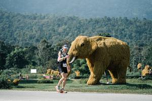 BIB: 
                            <button type="button" onclick="openModal(25901877)" class="btn btn-primary btn-sm float-right btn-popup" data-toggle="modal" data-target=".modal-high-quality">
                        <i class="fas fa-shopping-cart"></i> Add to Cart
                    </button>
                                            <button type="button" onclick="isThisMe(25901877, true)" class="btn btn-success btn-sm float-right btn-popup btn-isme hidden" data-toggle="tooltip" data-placement="bottom" title="นี่คือรูปของคุณใช่ไหม คลิกที่นี่เพื่อเอาเข้าอัลบั้ม">
                        <i class="fas fa-plus"></i> Add to album
                    </button>
                    <button type="button" onclick="isThisMe(25901877, false)" class="btn btn-warning btn-sm float-right btn-popup btn-isnotme hidden">
                        <i class="fas fa-ban"></i> Remove from album
                    </button>