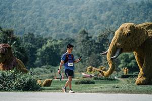 BIB: 
                            <button type="button" onclick="openModal(25969408)" class="btn btn-primary btn-sm float-right btn-popup" data-toggle="modal" data-target=".modal-high-quality">
                        <i class="fas fa-shopping-cart"></i> Add to Cart
                    </button>
                                            <button type="button" onclick="isThisMe(25969408, true)" class="btn btn-success btn-sm float-right btn-popup btn-isme hidden" data-toggle="tooltip" data-placement="bottom" title="นี่คือรูปของคุณใช่ไหม คลิกที่นี่เพื่อเอาเข้าอัลบั้ม">
                        <i class="fas fa-plus"></i> Add to album
                    </button>
                    <button type="button" onclick="isThisMe(25969408, false)" class="btn btn-warning btn-sm float-right btn-popup btn-isnotme hidden">
                        <i class="fas fa-ban"></i> Remove from album
                    </button>